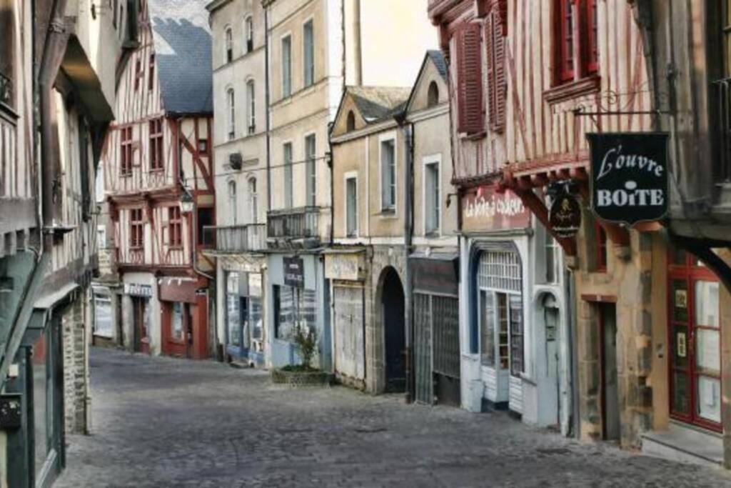 Centre-Ville : Maison De Charme - Secteur Calme Laval  Exterior foto